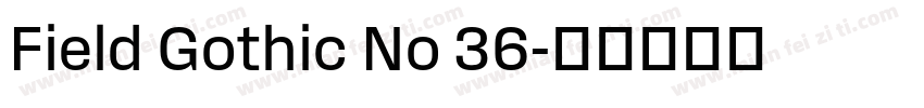Field Gothic No 36字体转换